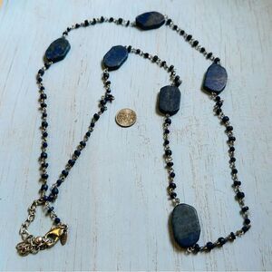 Chicos Blue Lapis Silver Long Necklace